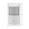 wireless hidden pir camera